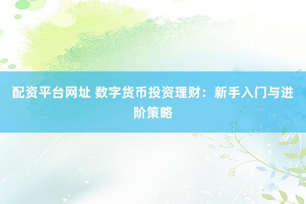 配資平臺(tái)網(wǎng)址 數(shù)字貨幣投資理財(cái)：新手入門(mén)與進(jìn)階策略