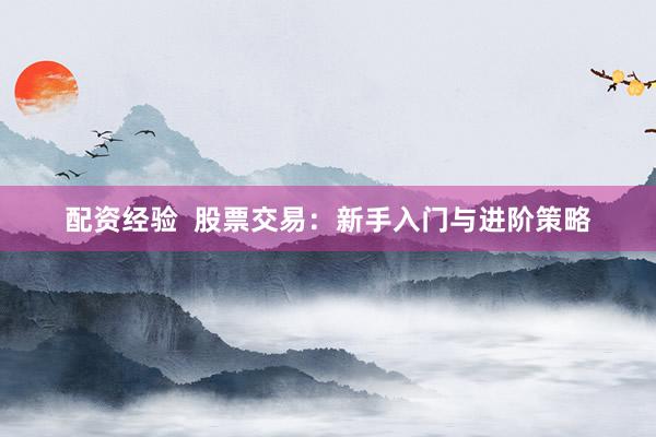 配資經(jīng)驗(yàn)  股票交易：新手入門與進(jìn)階策略