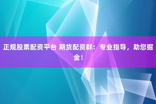 正規(guī)股票配資平臺(tái) 期貨配資群：專業(yè)指導(dǎo)，助您掘金！